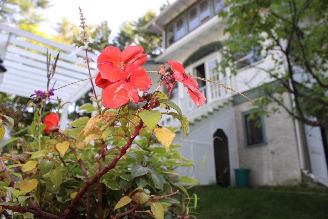 The Hillside B&B. Home W/ Breakfast Service! Wisconsin Dells Exteriér fotografie